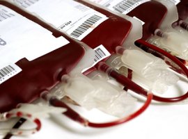 [Cresce número de candidatos a doação de sangue na Bahia]