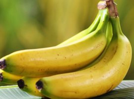 [Truques de cozinha: como fazer com que bananas amadureçam mais ou menos rápido]
