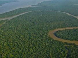 [Desmatamento na Amazônia Legal cai 82% em 10 anos, diz governo]
