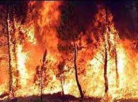 [Vento e calor forte causam incêndios florestais no Oeste dos Estados Unidos]