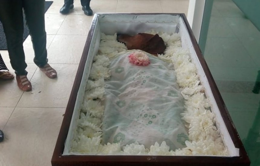 [Foto de cachorro sendo 'velado' em caixão na Bahia viraliza]