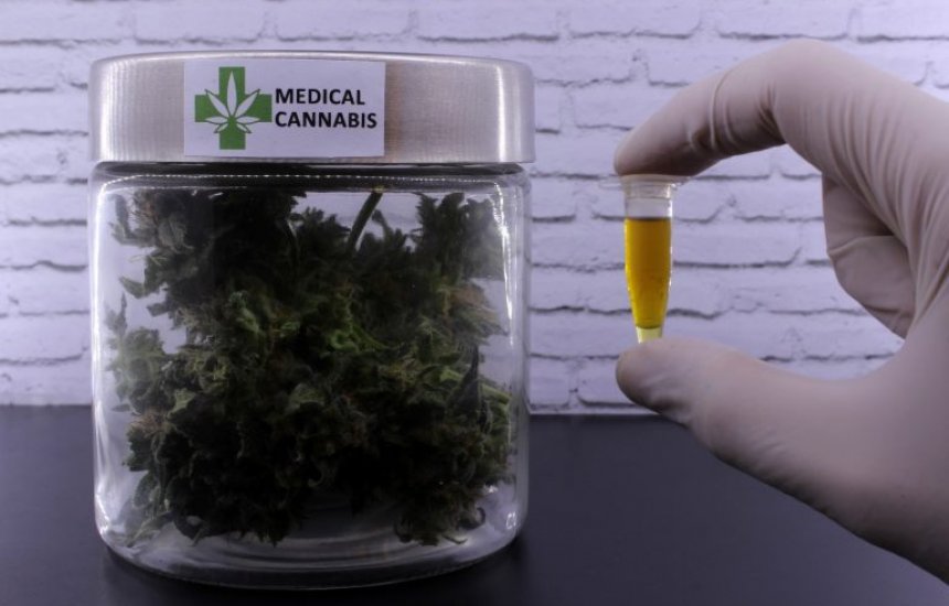 [Comissão especial discute com Anvisa regulamentação do cultivo de Cannabis]