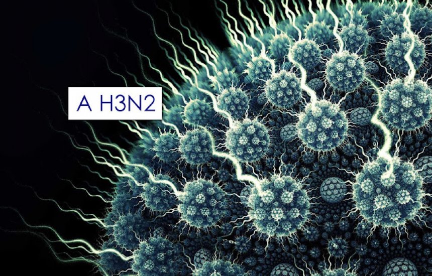 [H3N2: médica fala sobre sintomas, transmissão, tratamento e prevenção]